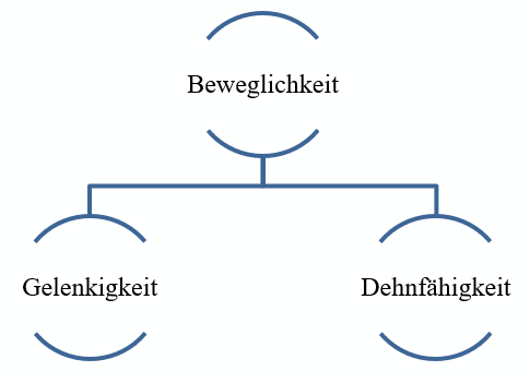 Lexikon | Beweglichkeit setzt sich aus Gelenkigkeit und Dehnfähigkeit zusammen