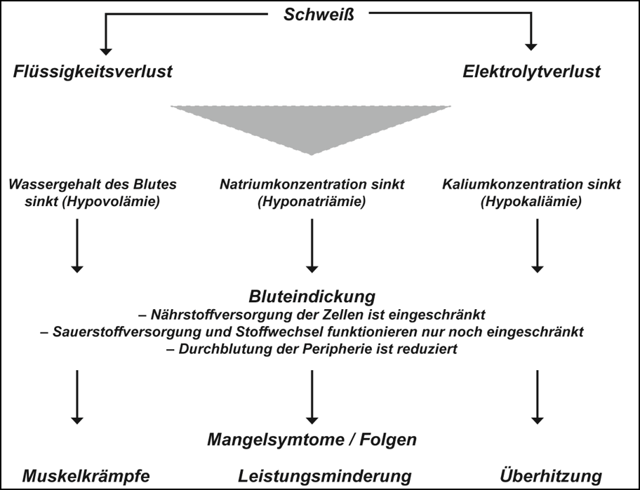 Lexikon | Folgen eines unausgeglichenen Schweißverlustes