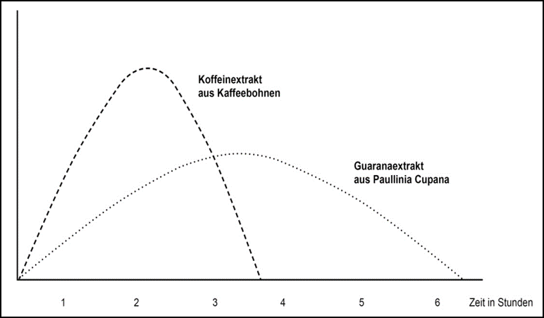 Lexikon | Stimulierender Effekt von Koffeinextrakt und Guaranaextrakt