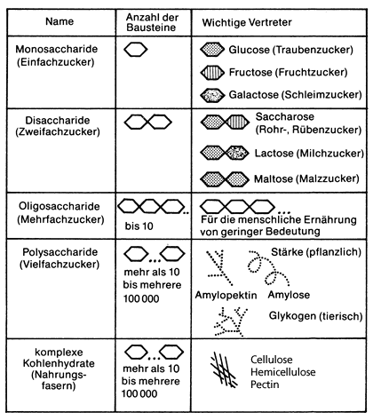 einfache Kohlenhydratstruktur