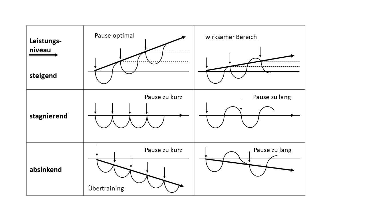 Auswirkungen von Pausen und Wiederbelastungen