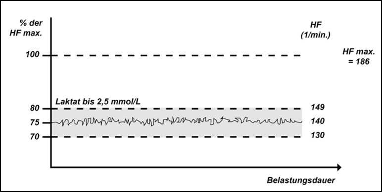 Lexikon | Verlauf der Hf beim Grundlagenausdauertraining I 